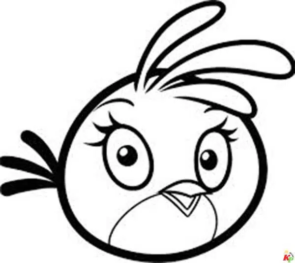 Angry Birds9