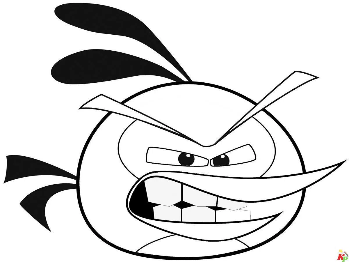 Angry Birds7