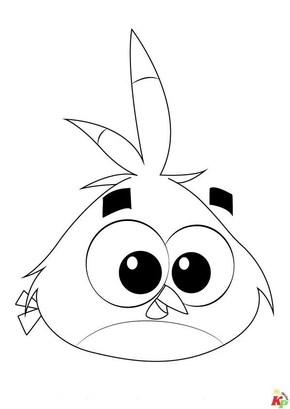 Angry Birds6