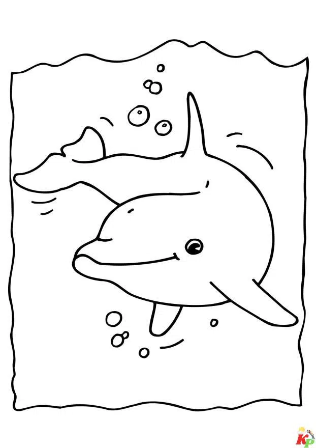 Dolfijn16