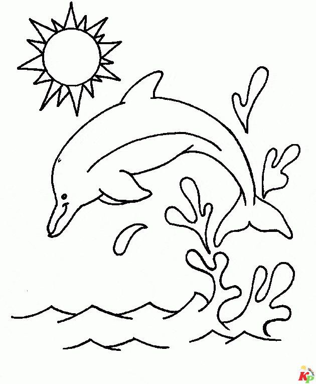 Dolfijn13