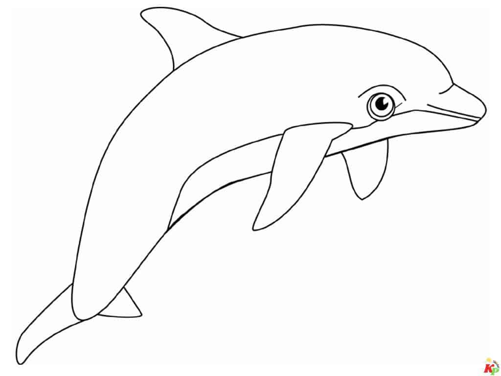 Dolfijn2