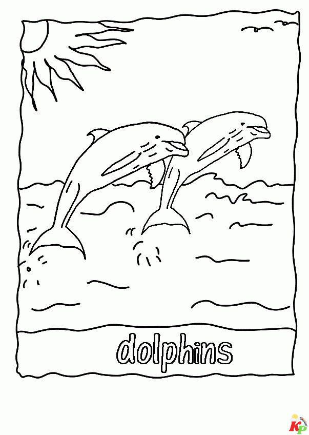 Dolfijn1
