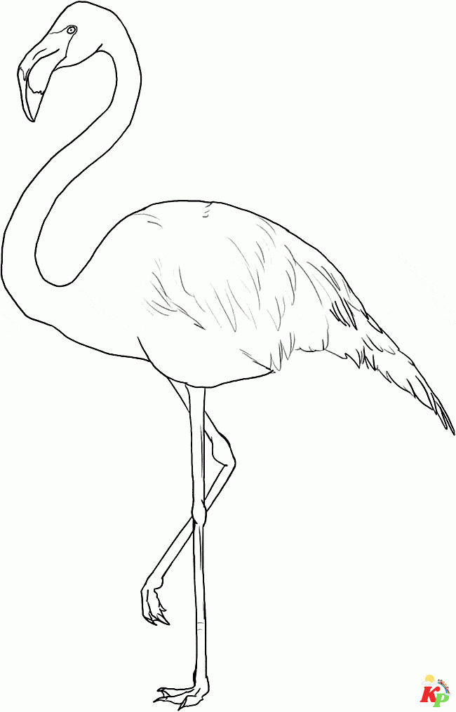 Flamingo14
