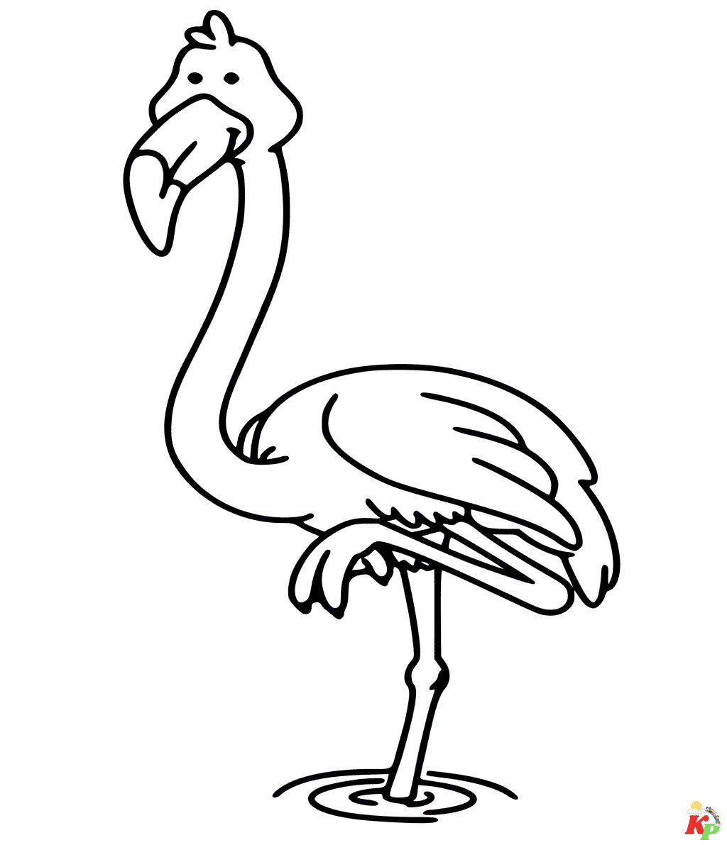 Flamingo8