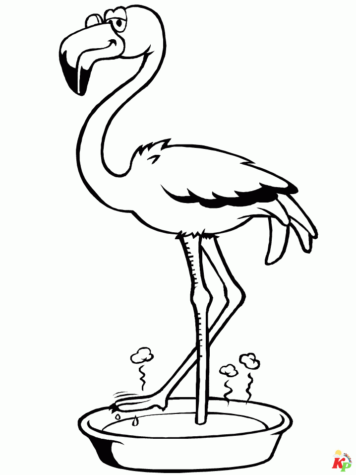 Flamingo6