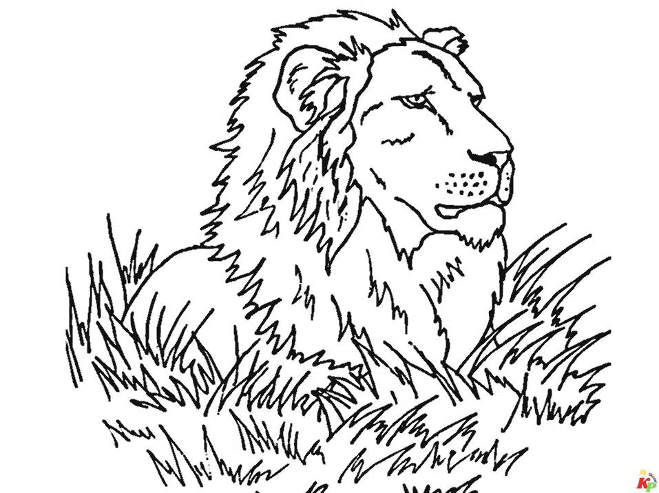 Leeuw9