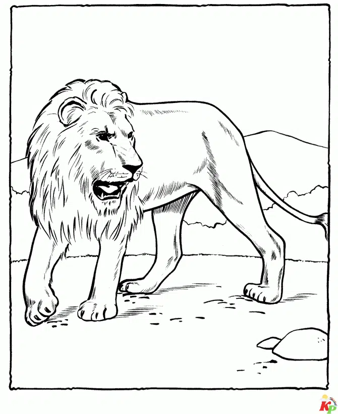 Leeuw6
