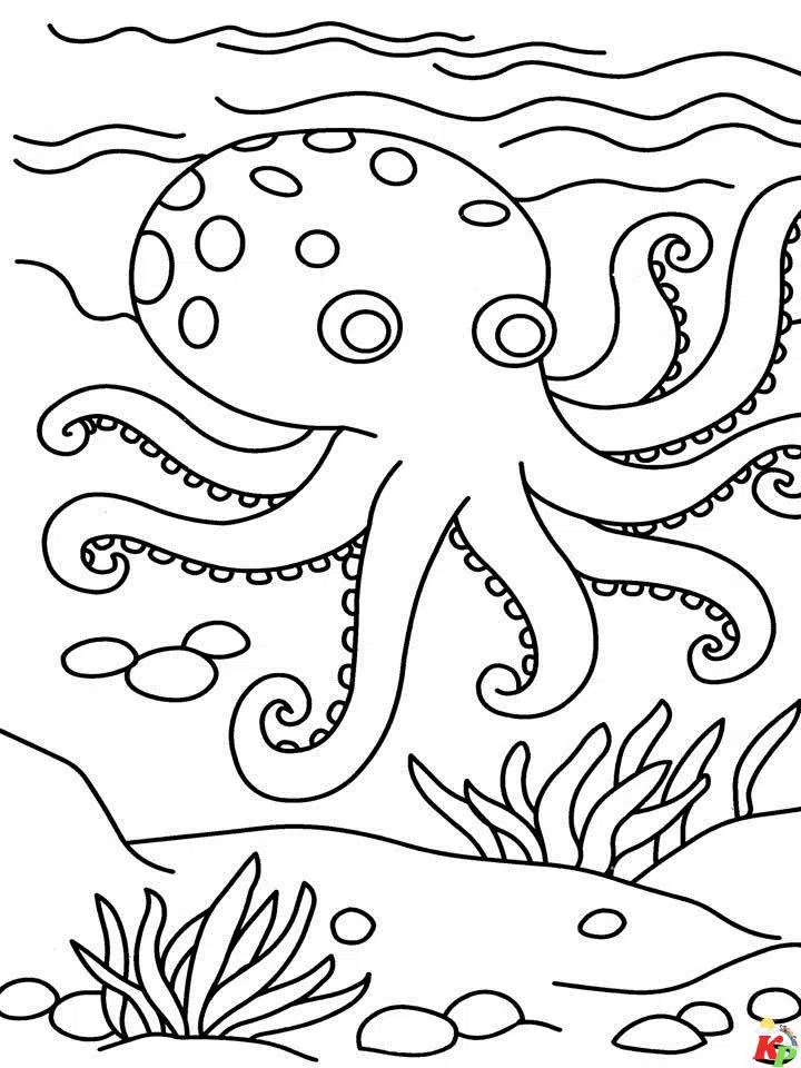 Octopus20