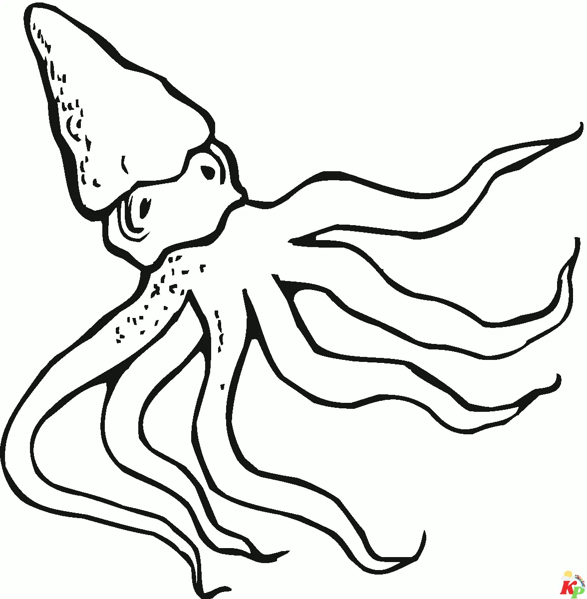 Octopus19