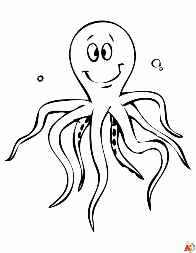 Octopus17