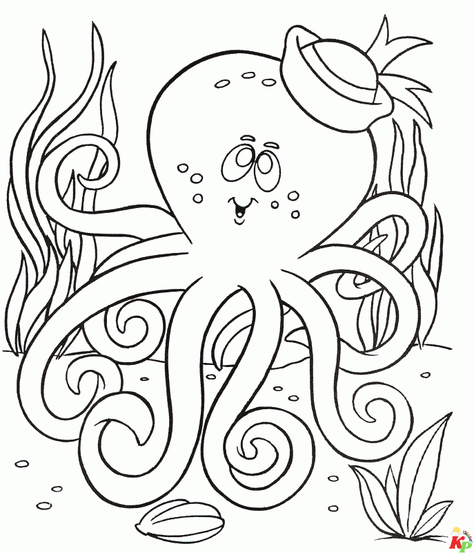 Octopus16