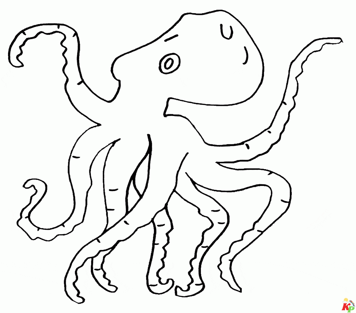 Octopus14