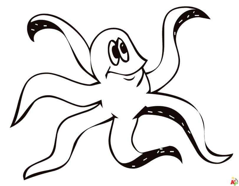Octopus12