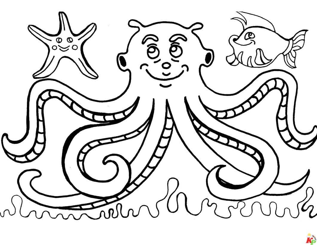 Octopus11