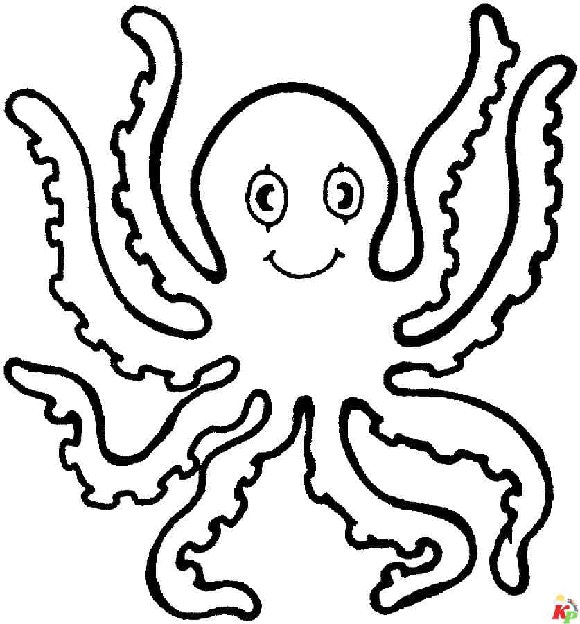 Octopus7