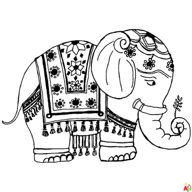Olifant24