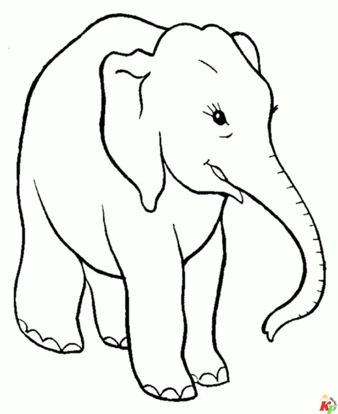 Olifant23