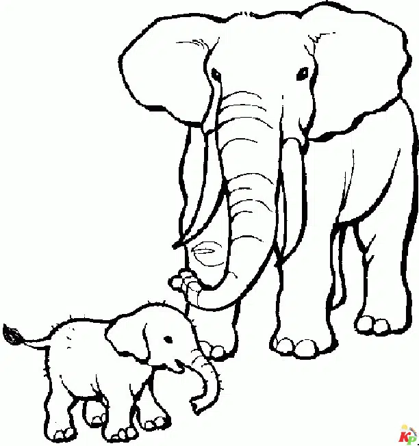 Olifant22