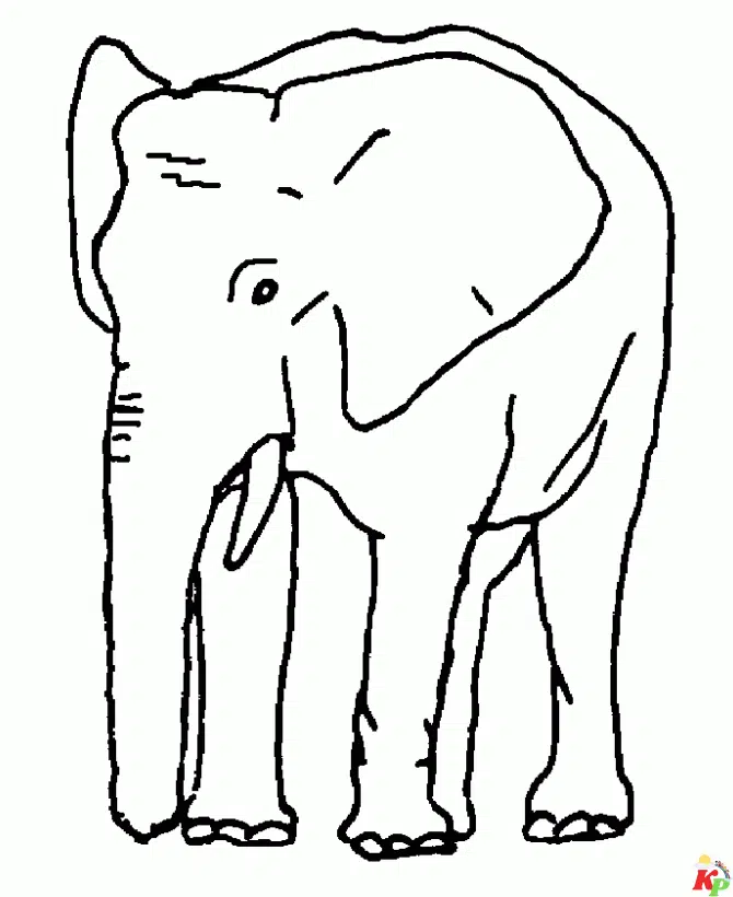 Olifant21