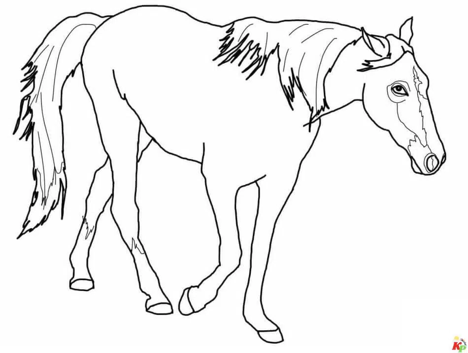 Paarden32