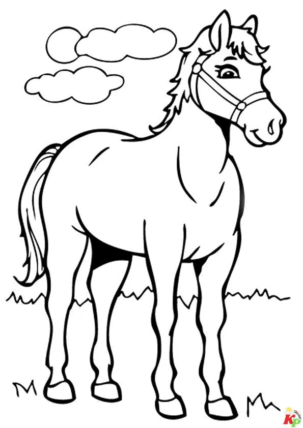 Paarden31