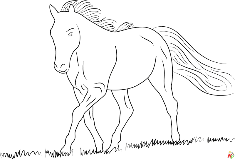 Paarden28