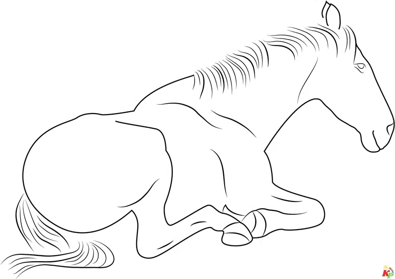 Paarden27