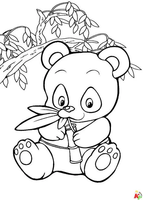 Pandabeer24