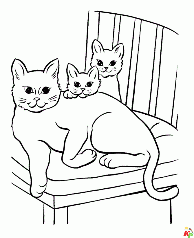 Poezen en katten 3