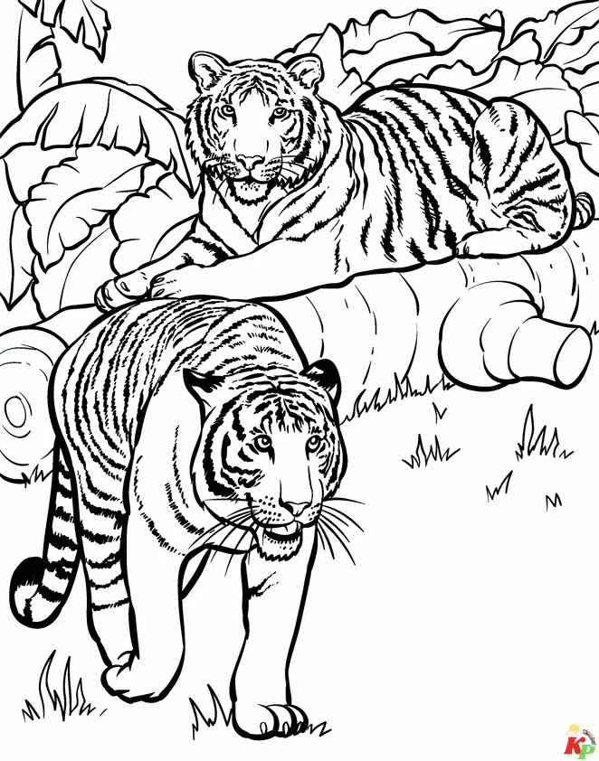 Tijger27