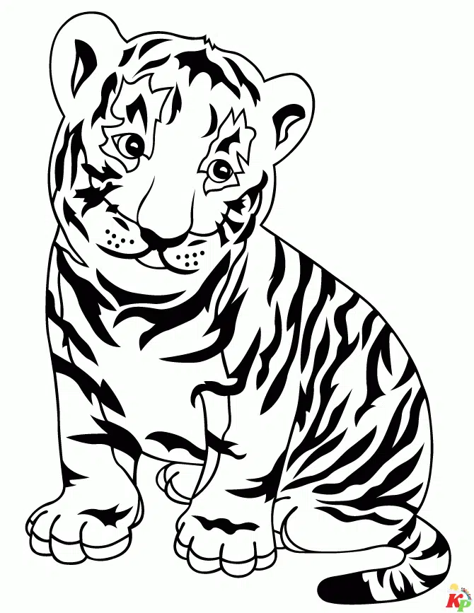 Tijger25