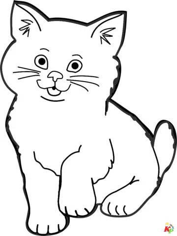 Katten 23