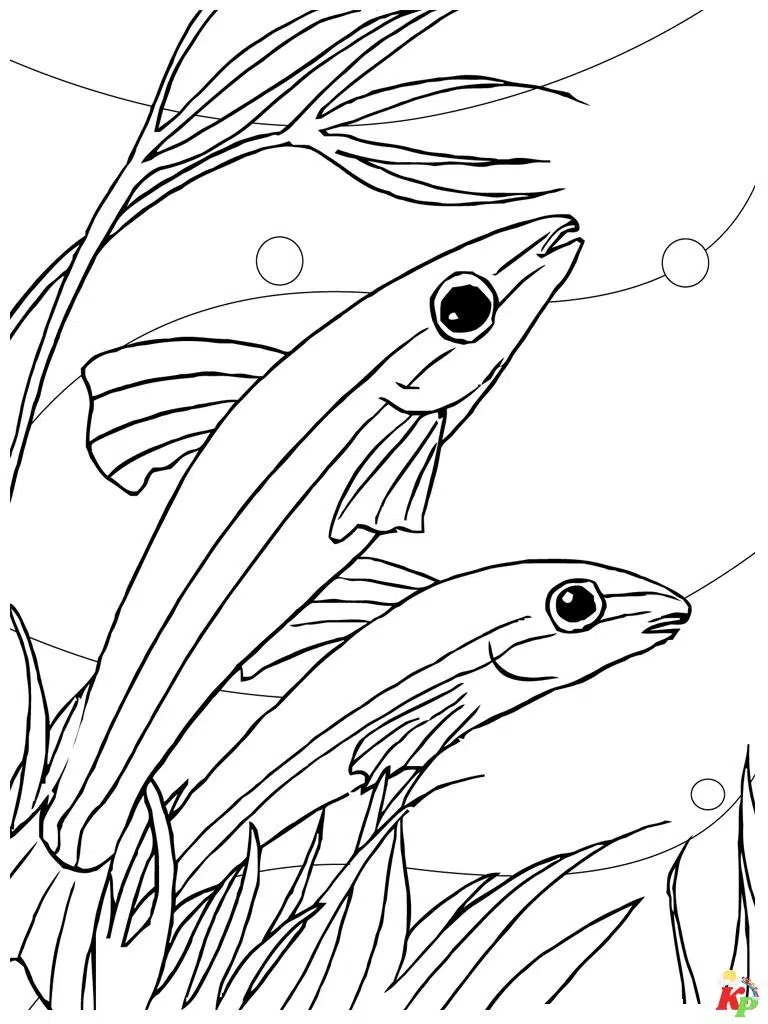 Vis20