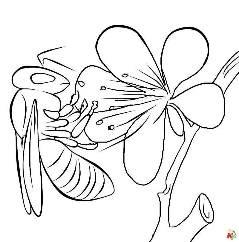 Bij 3