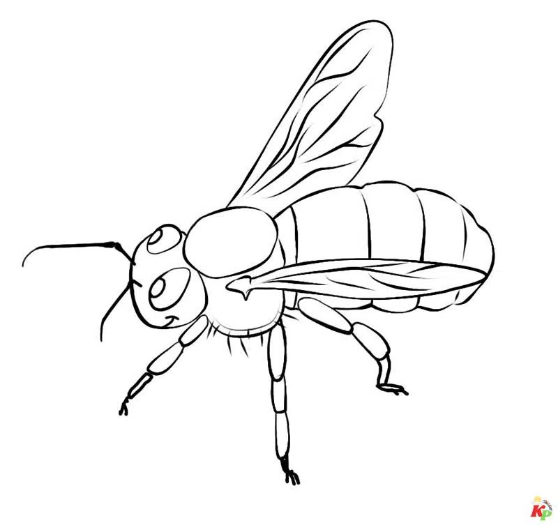 Bij 5