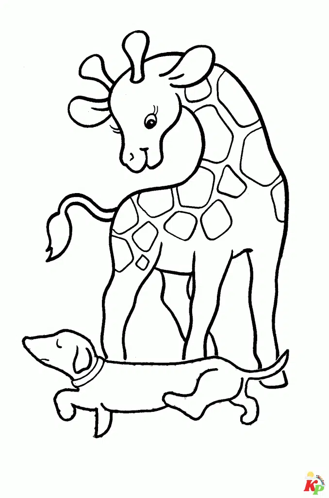 Giraffe 1