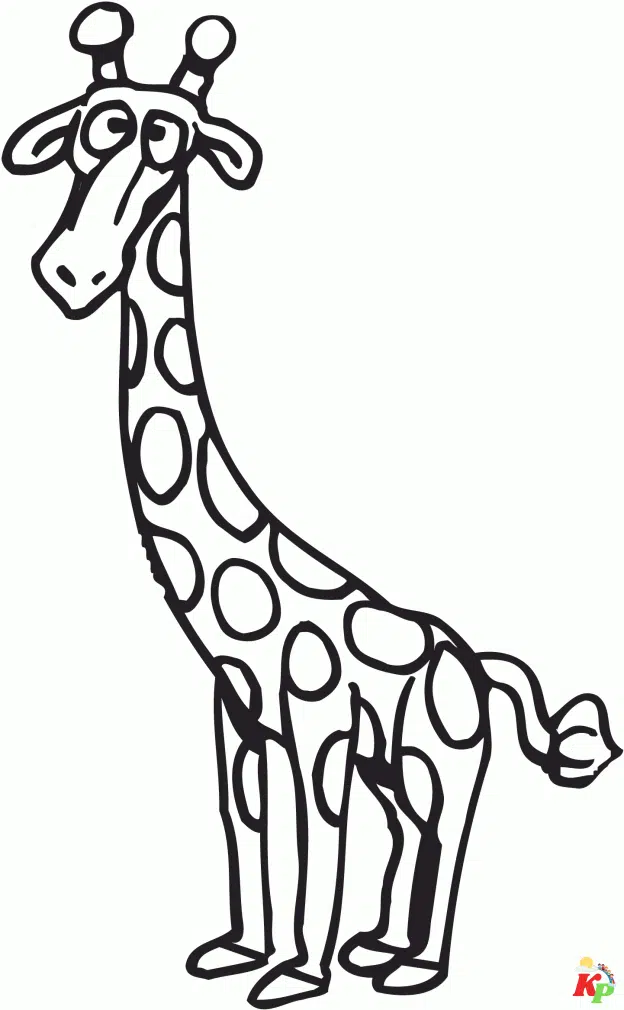 Giraffe 5