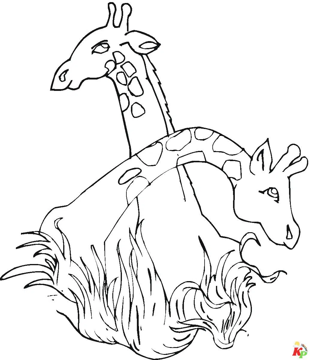 Giraffe 9