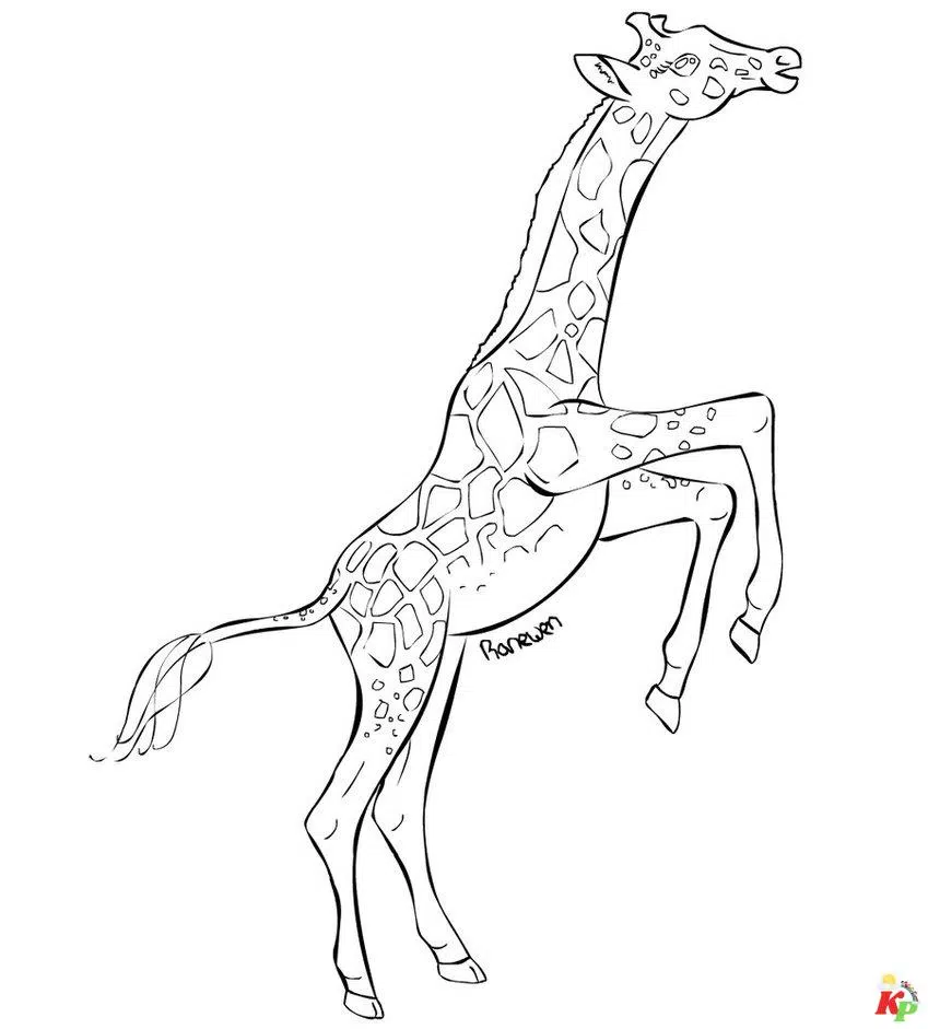 Giraffe 10