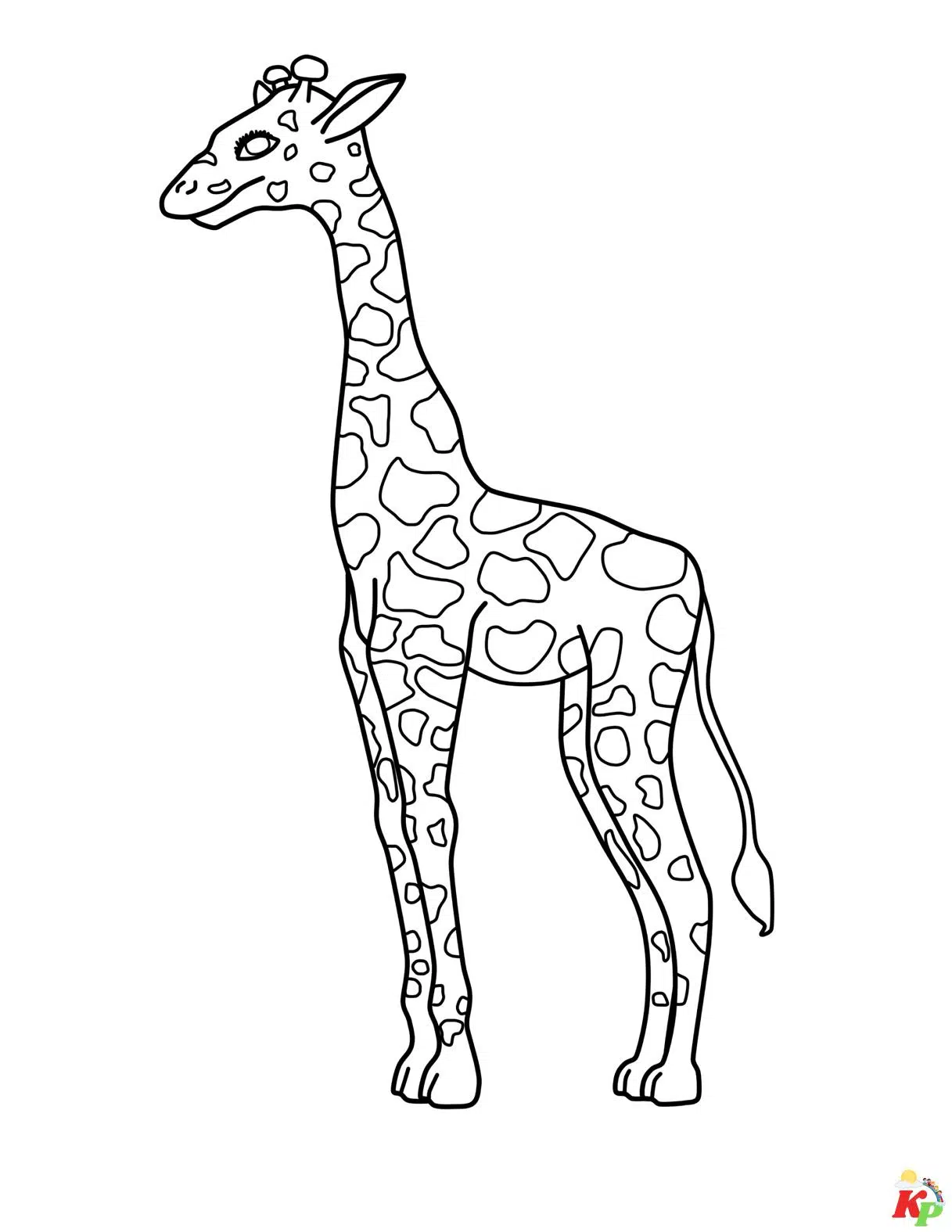 Giraffe 16