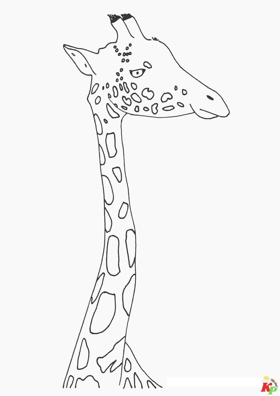 Giraffe 20