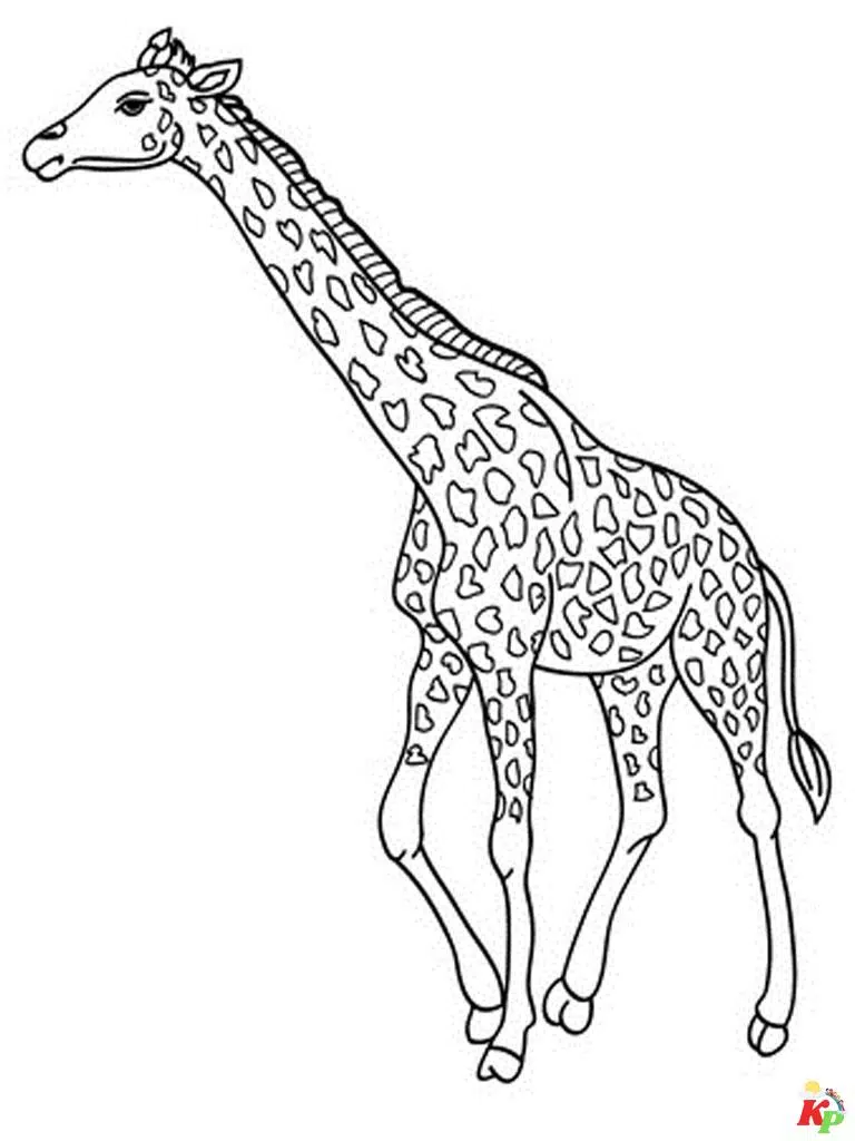 Giraffe 21