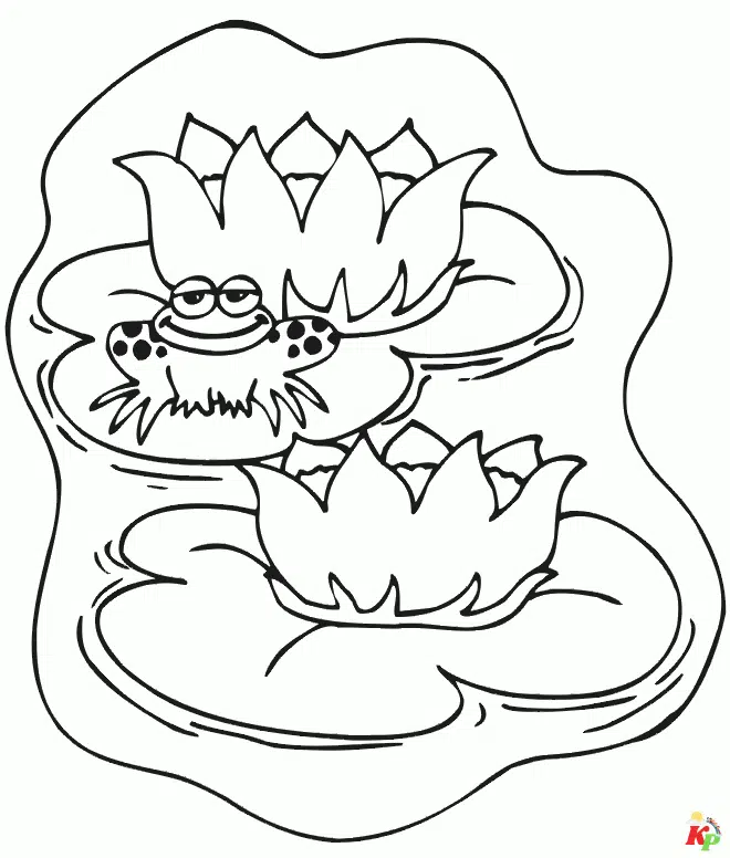 Kikker 3