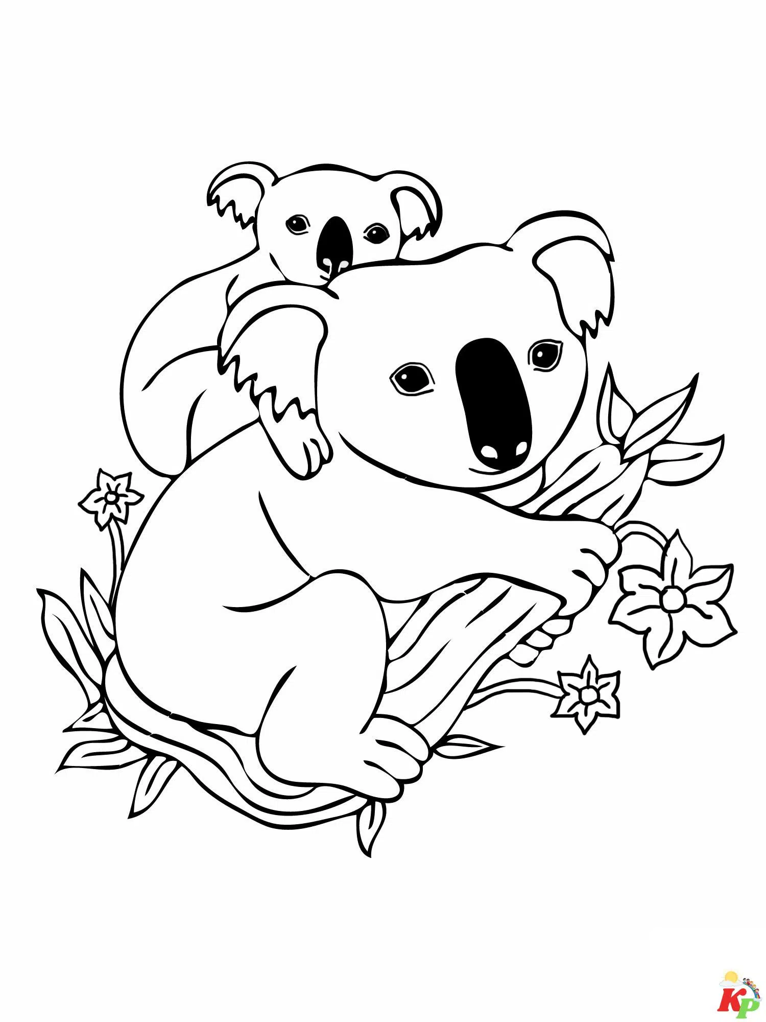 Koala 1