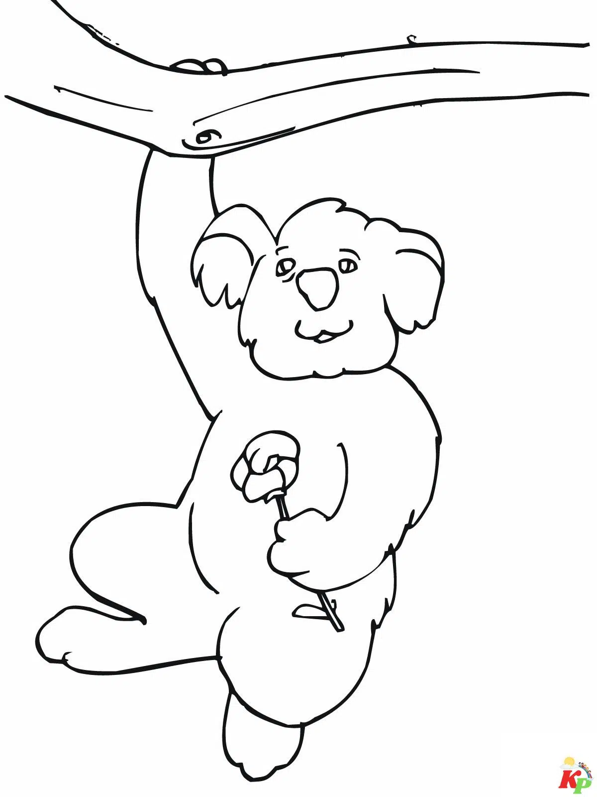 Koala 3