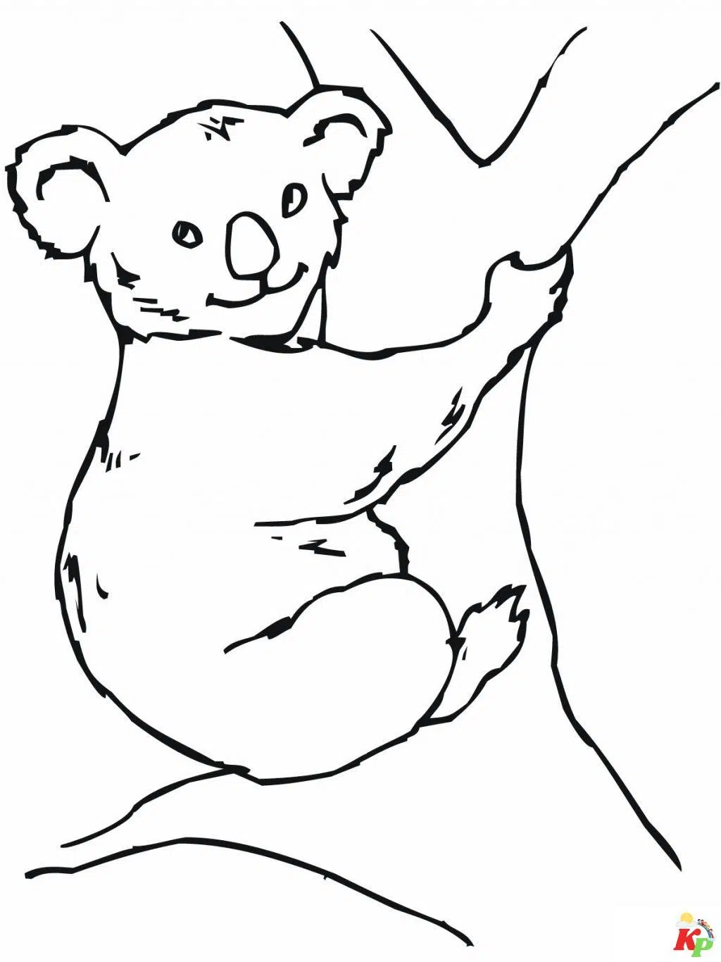 Koala 6