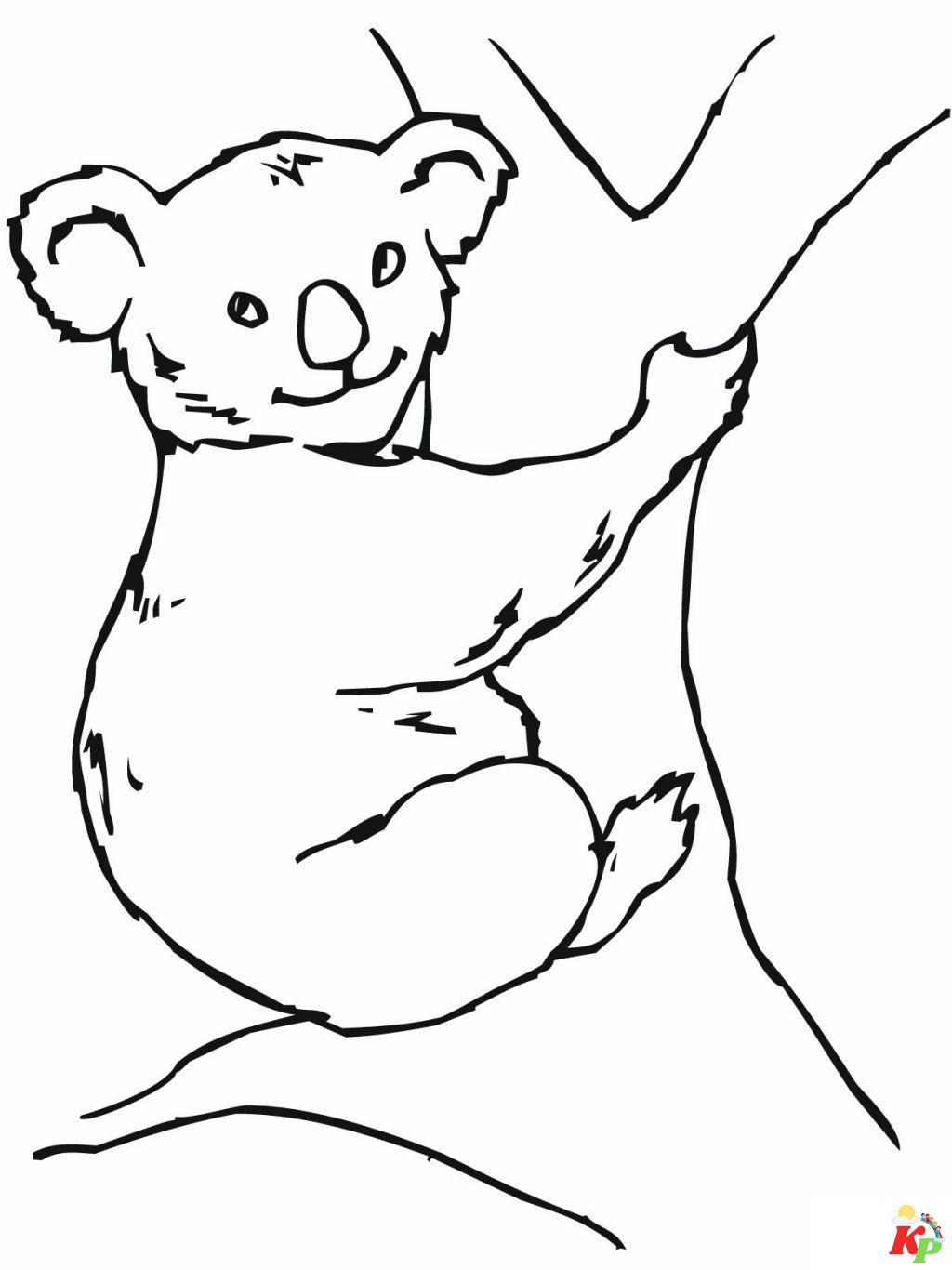 Koala 6