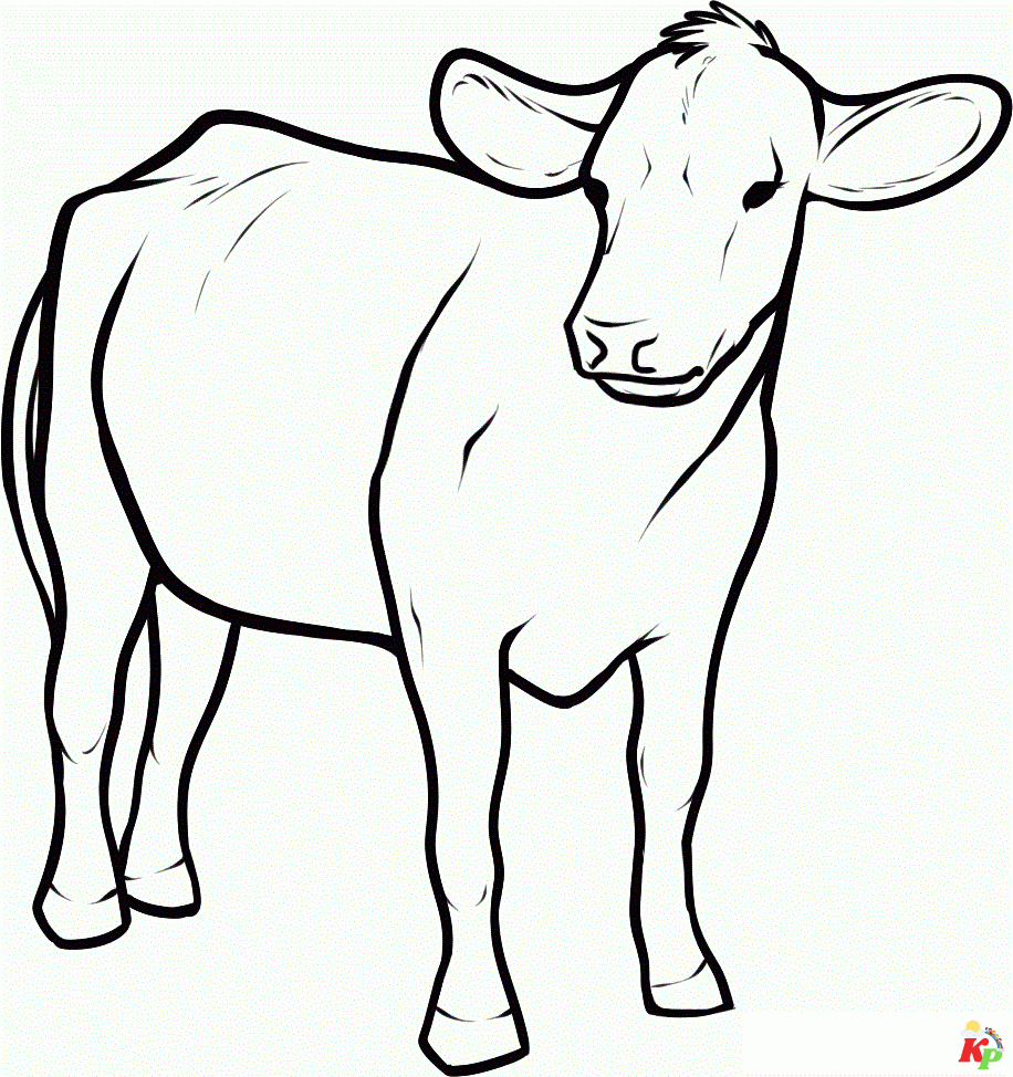 Koeien 7