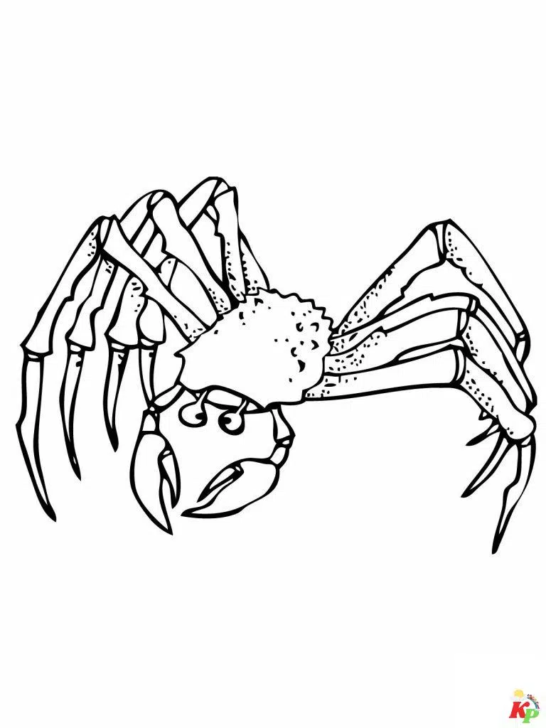 Krab 5